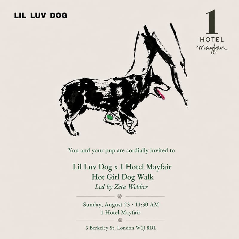 Cover Image for LIL LUV DOG X 1 HOTEL MAYFAIR HOT GIRL DOG WALK