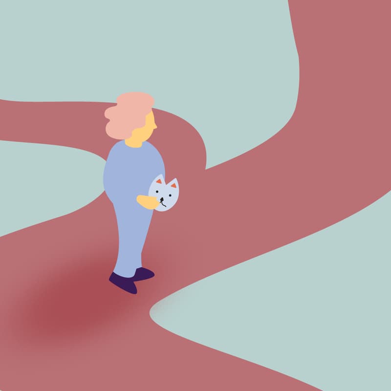 Cover Image for WEBINAR 1: Developing and adapting safeguarding policies, from principles to practice