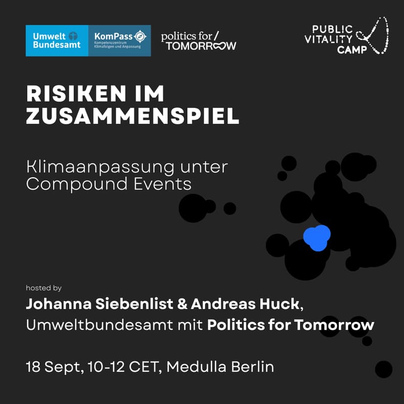 Cover Image for Risiken im Zusammenspiel