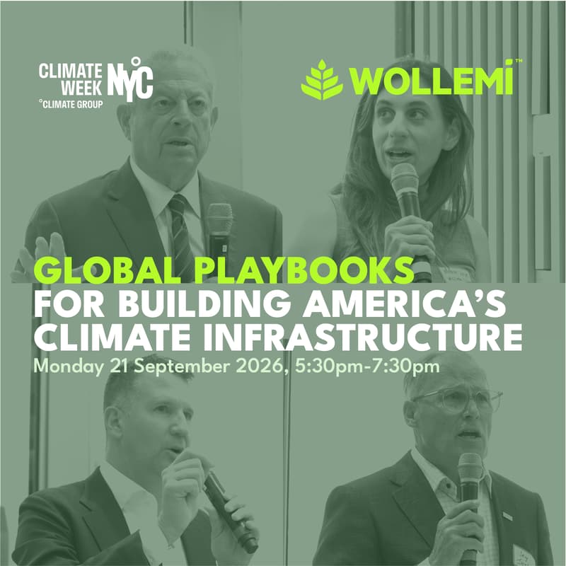 Cover Image for Global Playbooks for Building America’s Climate Infrastructure