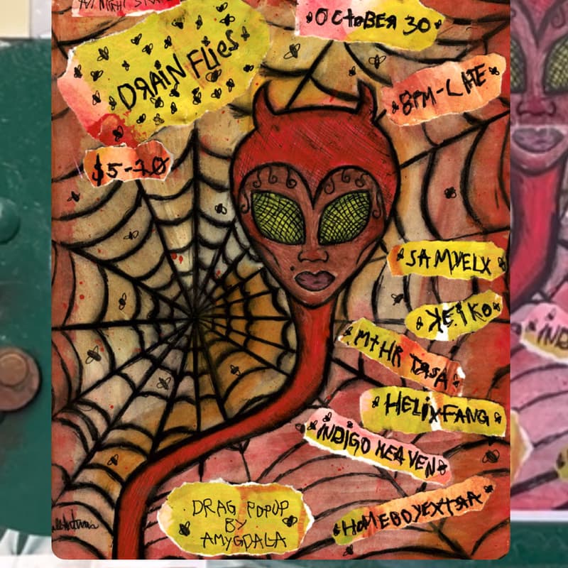 Cover Image for 🪰 DRAINFLIES 🪰