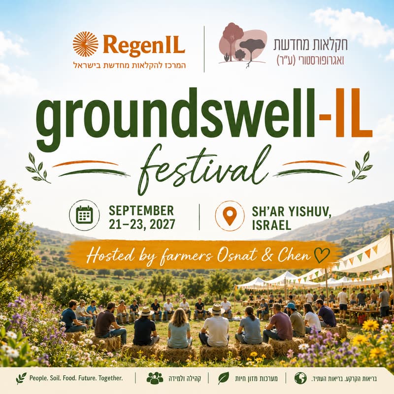 Cover Image for Groundswell IL