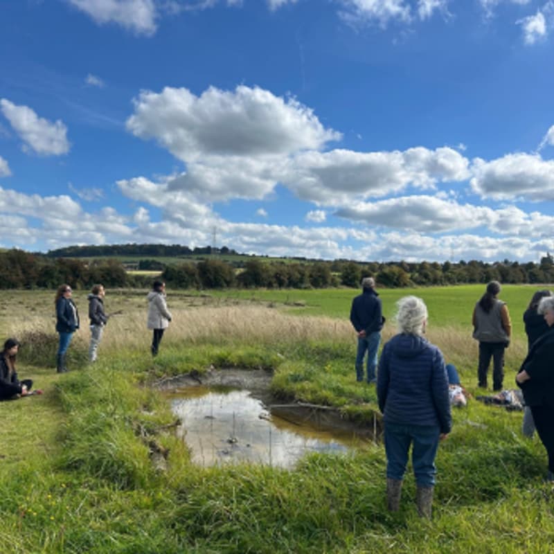 Cover Image for Mindfulness Day Retreat at Kyrie Farm