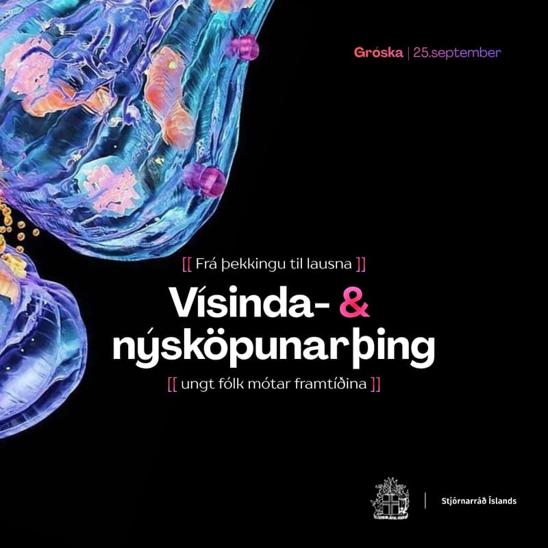 Cover Image for Vísinda- og nýsköpunarþing