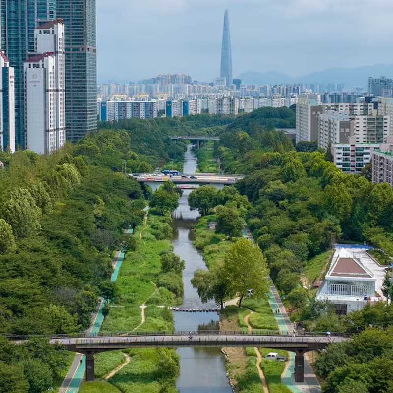 Cover Image for [ICML Run Club] Yangjaecheon Stream Trail