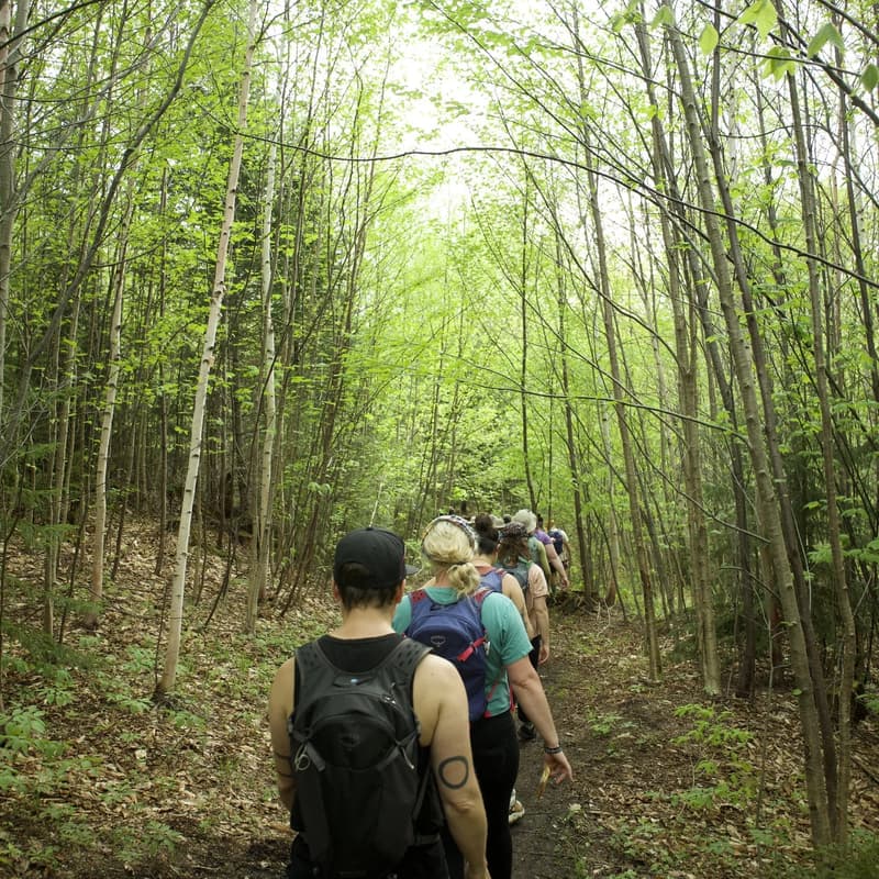 Cover Image for Short Evening Walk with Queer Community - New Jersey
