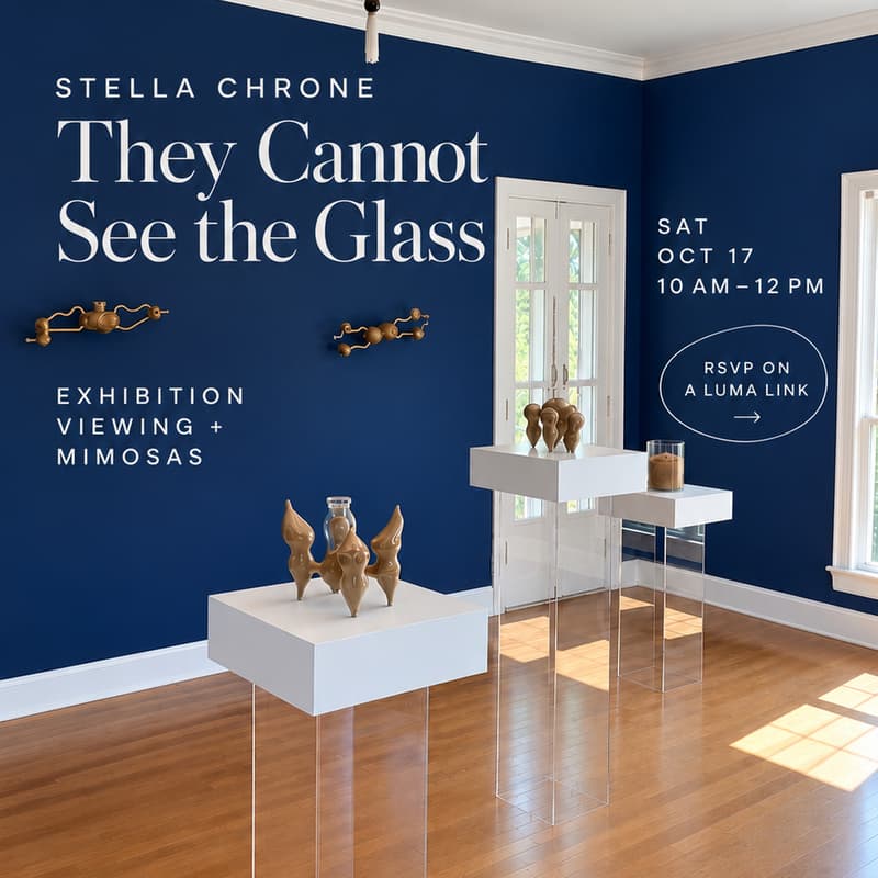 Cover Image for Mimosas With The Artist: Stella Chrone