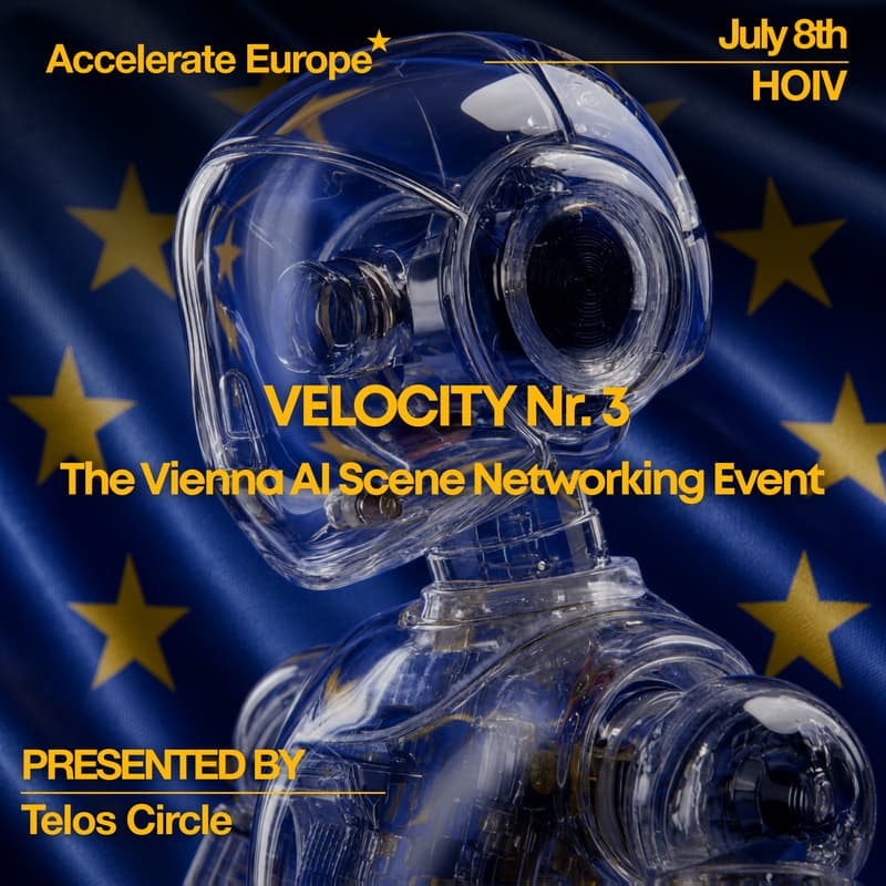 Cover Image for Velocity 3 - The most important transformation of the century is imminent. Europe isn't ready. What can we do?
