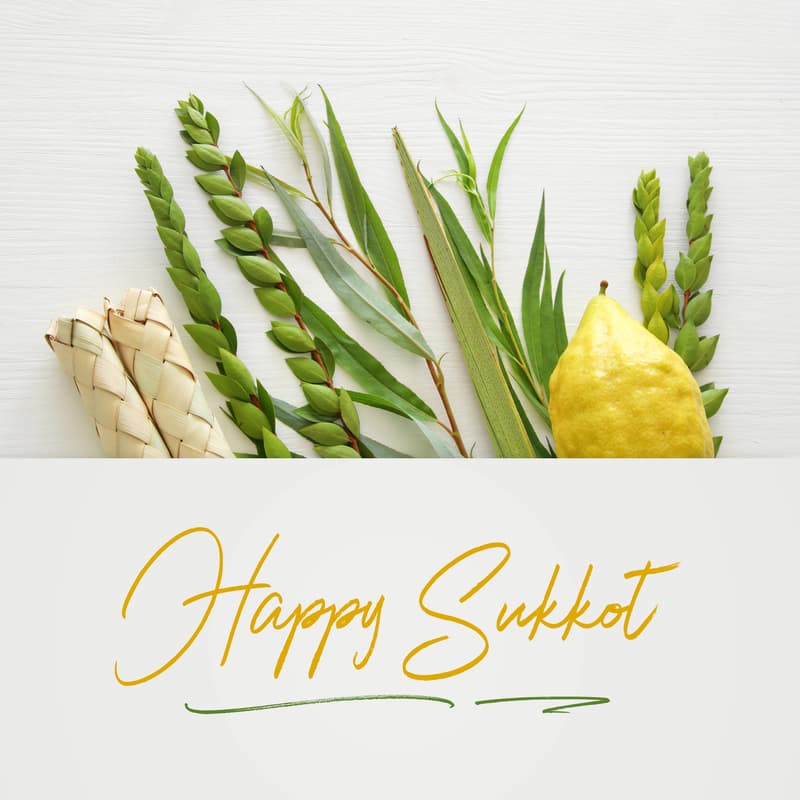 Cover Image for Saturday Sukkot Community Dinner