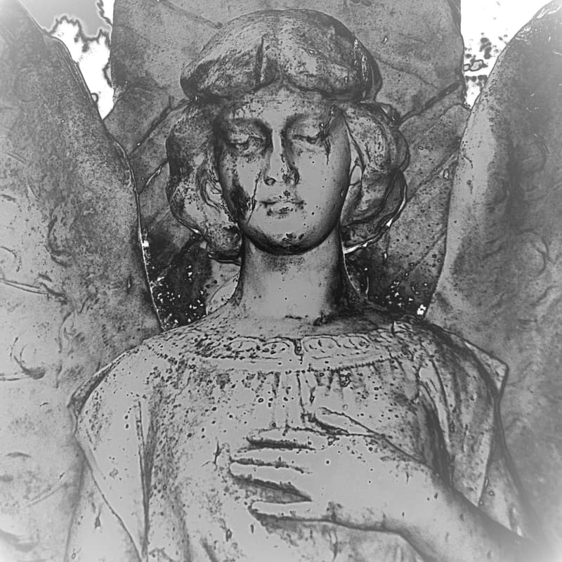 Cover Image for First Official Ross Bay Gothic Horror Society Gathering