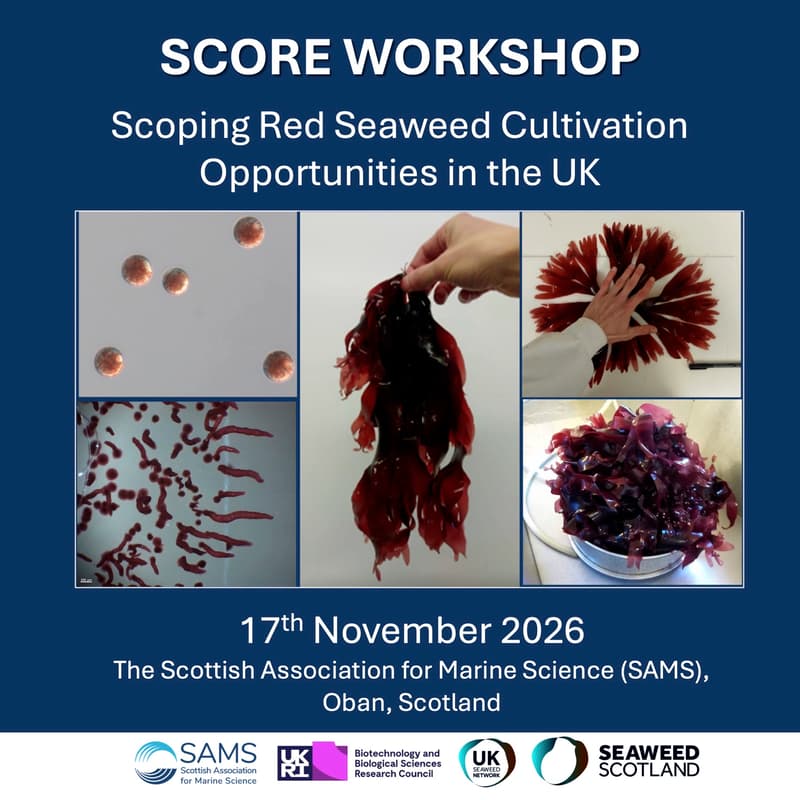 Cover Image for SCORE Workshop: Scoping Red Seaweed Cultivation Opportunities in the UK (Pre-Conference event to SSIA 2026)