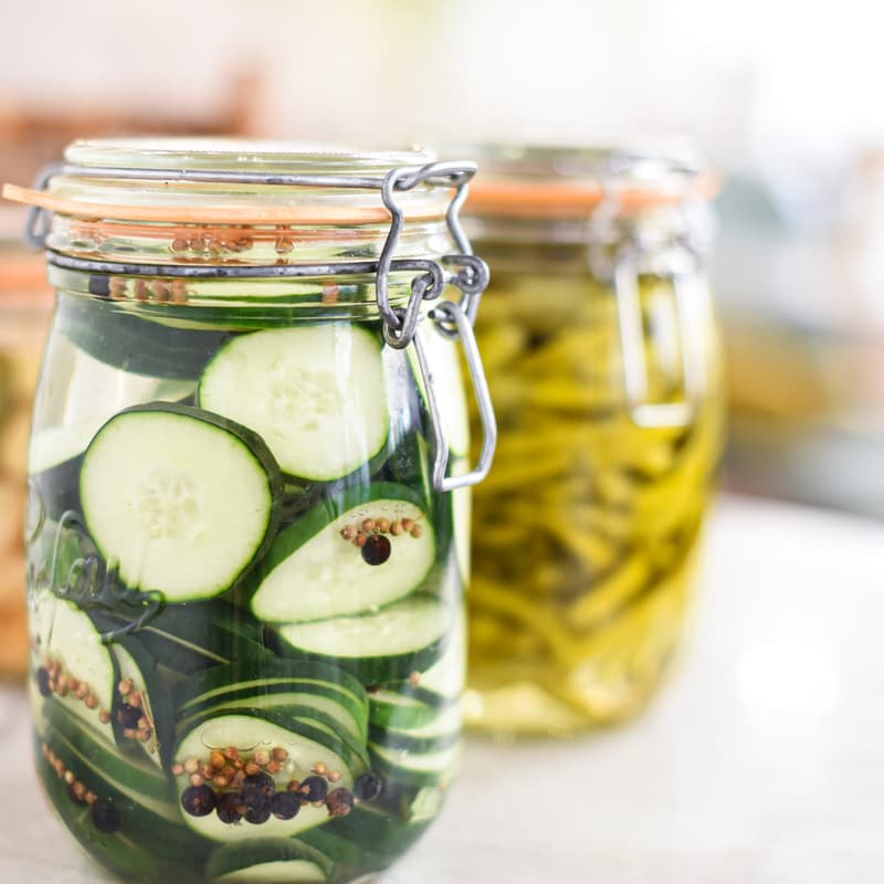 Cover Image for Atelier Lacto-fermentation