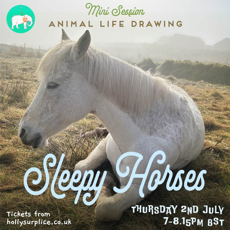 Cover Image for Sleepy Horses - Mini Session