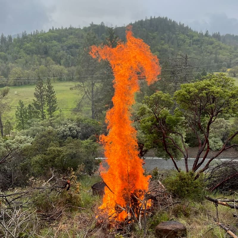 Cover Image for Pile Burn for the Land