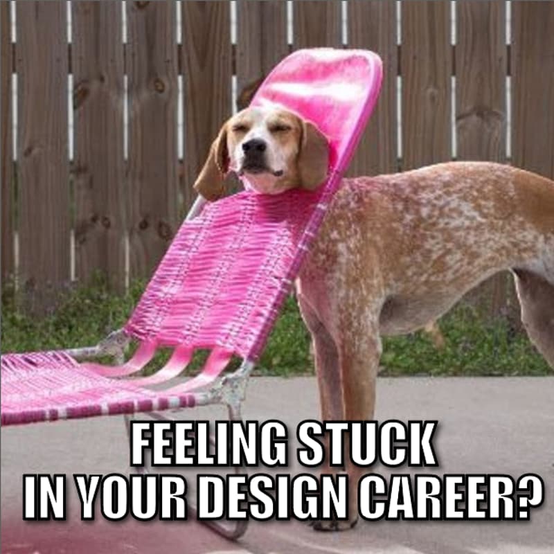 Cover Image for The Design Cohort - May 2026 - Managing Your Design Career
