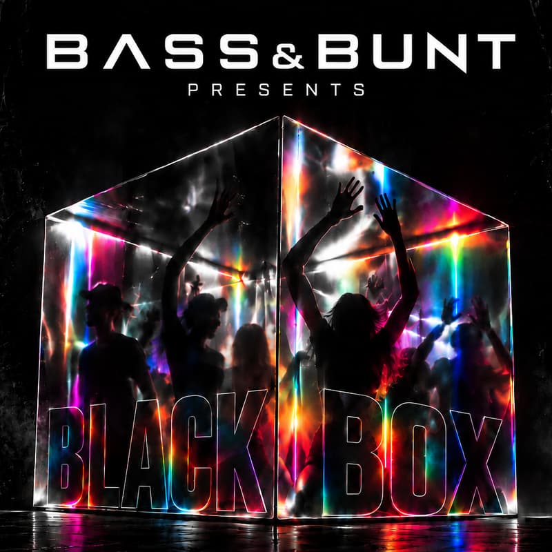Cover Image for BASS&BUNT/ BLACK BOX