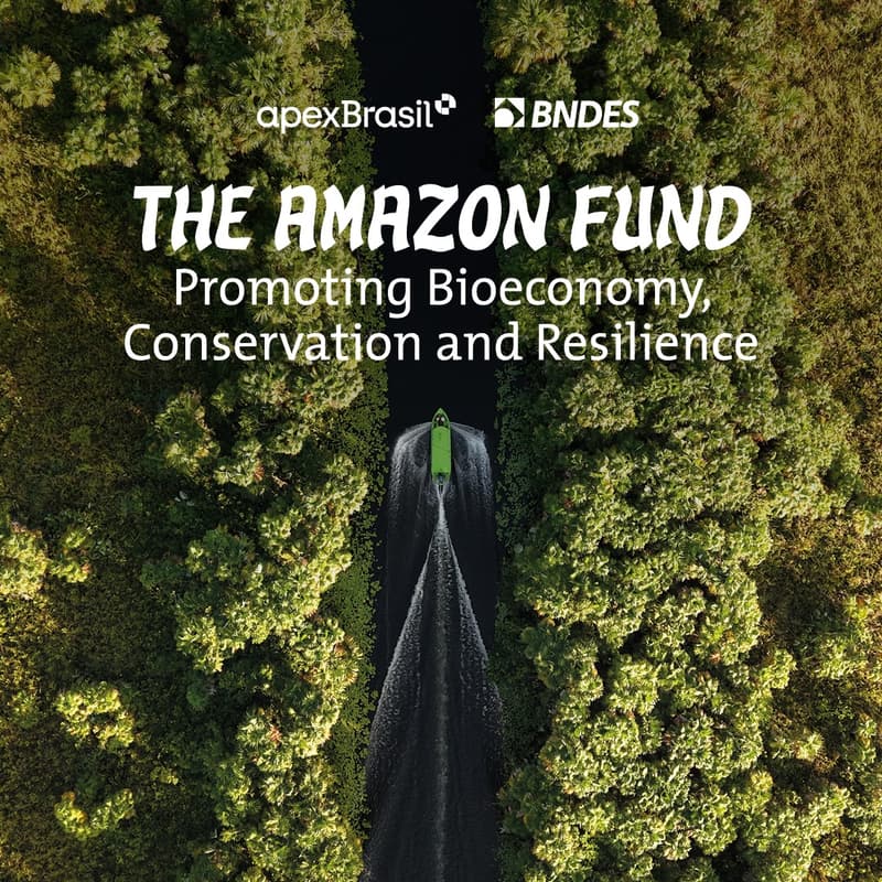 Cover Image for The Amazon Fund: Promoting Bioeconomy, Conservation and Resilience