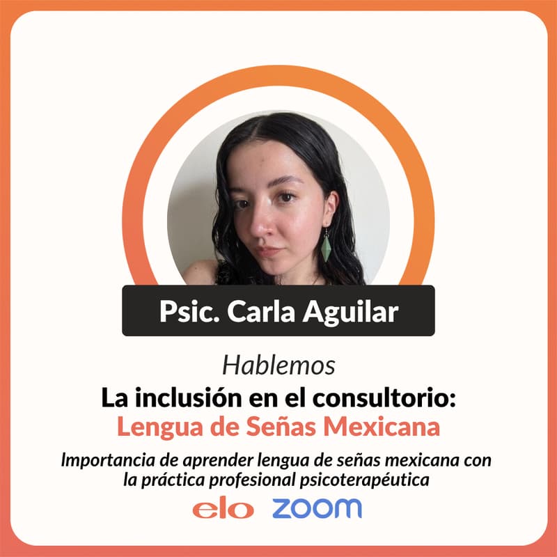Cover Image for Hablemos: La Inclusión en el Consultorio: Lengua de Señas Mexicana