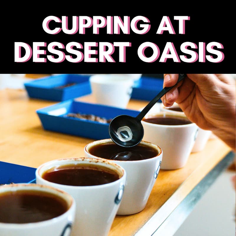 Cover Image for ONYX CUPPING