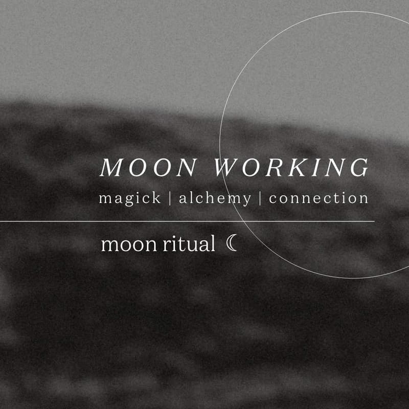 Cover Image for MOON WORKING | moon ritual
