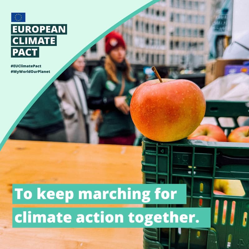 Cover Image for Climate March - Brainstorm workshop