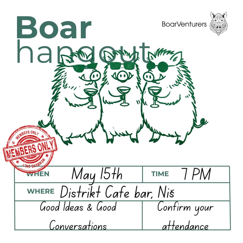 Cover Image for BoarHangout Niš