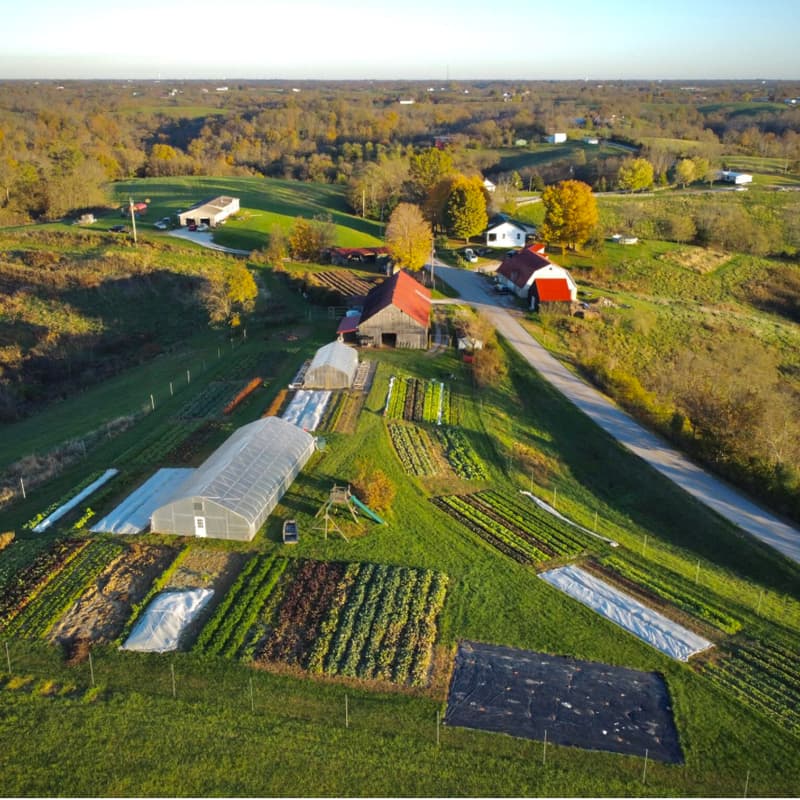 Cover Image for Regenerating Cincinnati: Farmers, Food, and Climate Solutions