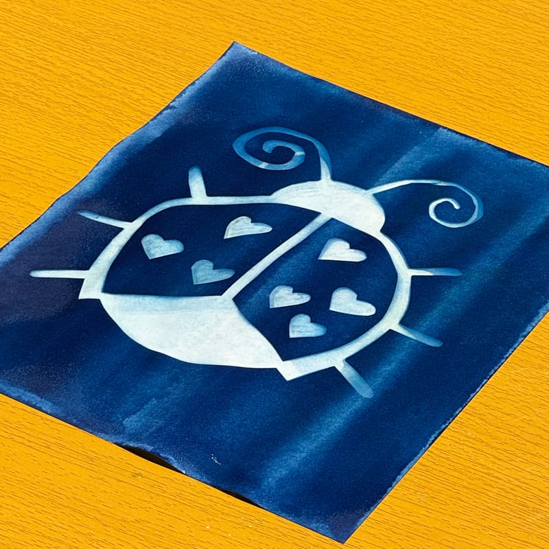 Cover Image for Cyanotype Craft Club