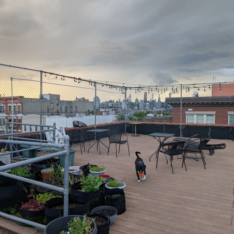 Cover Image for Kindred Brooklyn: Rooftop Happy Hour