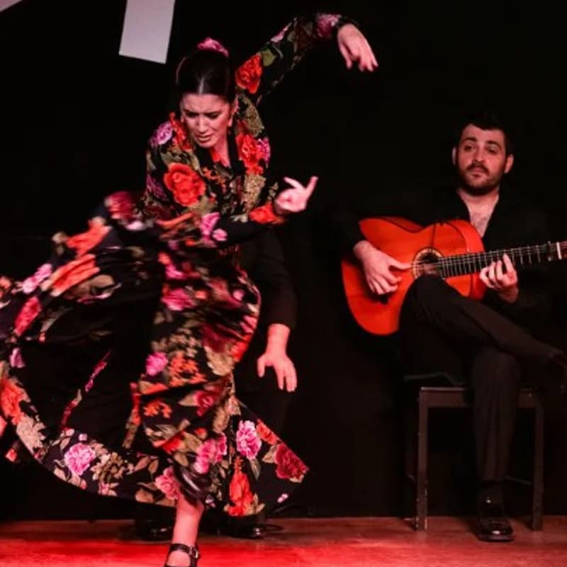 Cover Image for Flamenco Show