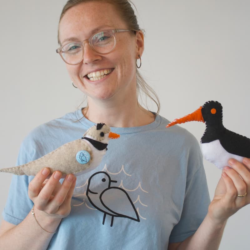 Cover Image for Shorebird Arts & Crafts: Sewing with Caitlyn and NYC Plover Project