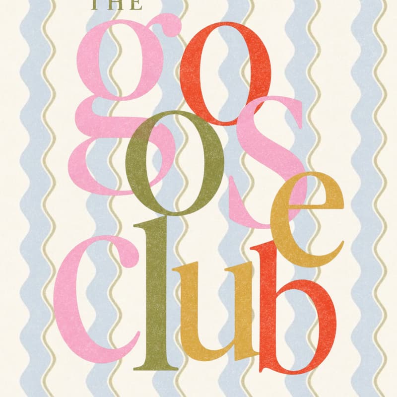 Cover Image for The Goose Club: Babies (6-18 months)