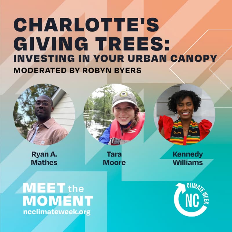 Cover Image for Charlotte's Giving Trees: Investing in Your Urban Canopy