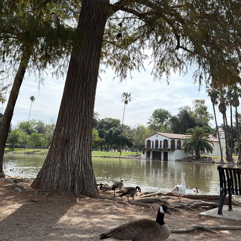 Cover Image for 6.20 || Fairmount Park (IE)