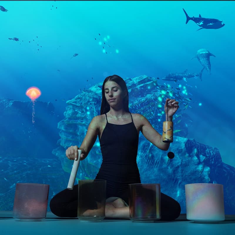 Cover Image for Speak Catalan x SABDA: Dia de wellness en català