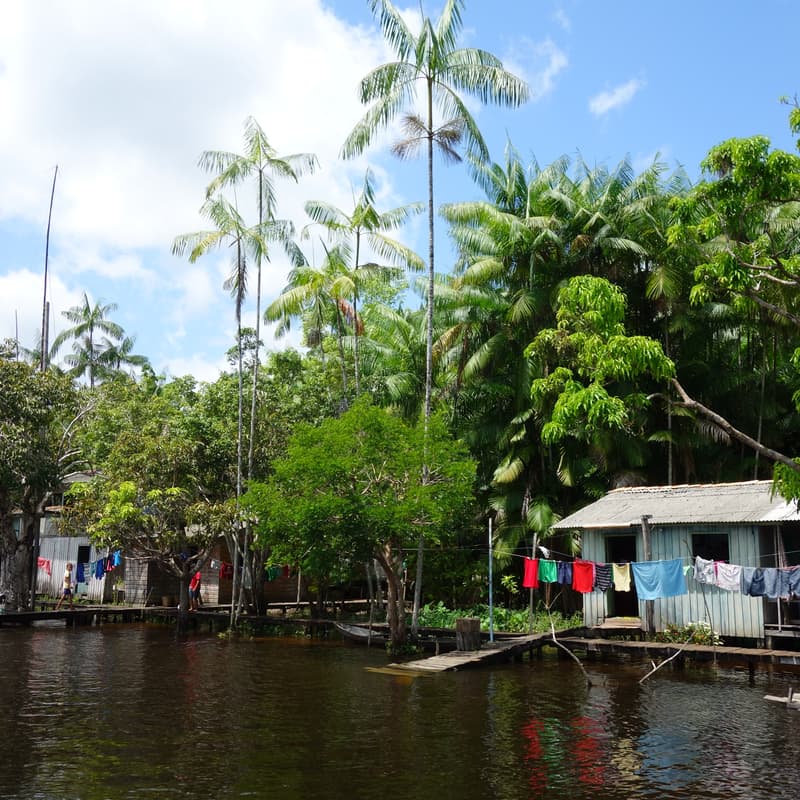 Cover Image for Info Webinar: The Psychology of Climate & Biodiversity Transformation