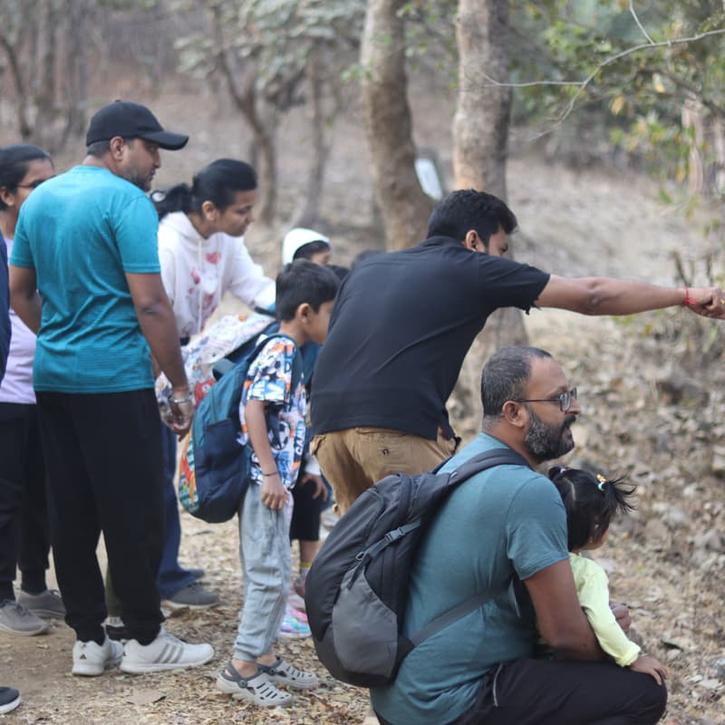 Cover Image for Eco Steps : A Nature Trail for Kids (accompanied by parents)