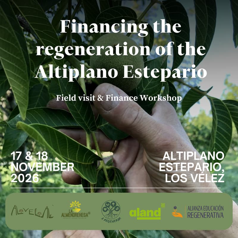 Cover Image for Financiando la regeneración del Altiplano Estepario
