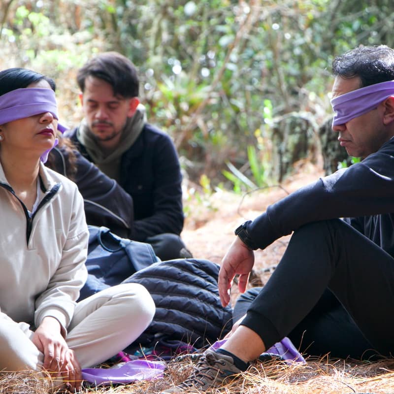 Cover Image for SANA EN LA MONTAÑA
