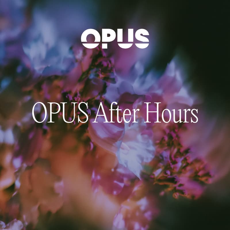 Cover Image for OPUS After Hours - Web Summit Edition