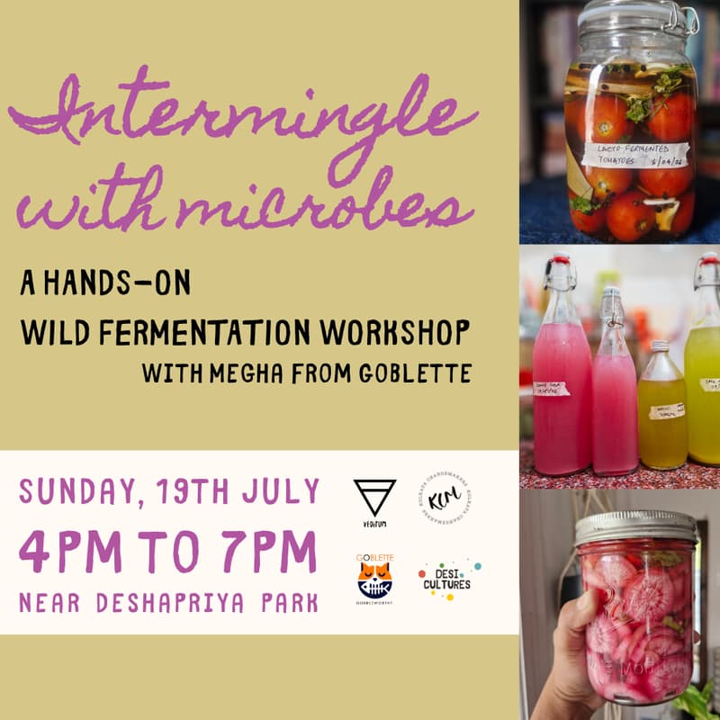 Cover Image for Intermingle with Microbes. A wild fermentation workshop with Megha | KCM