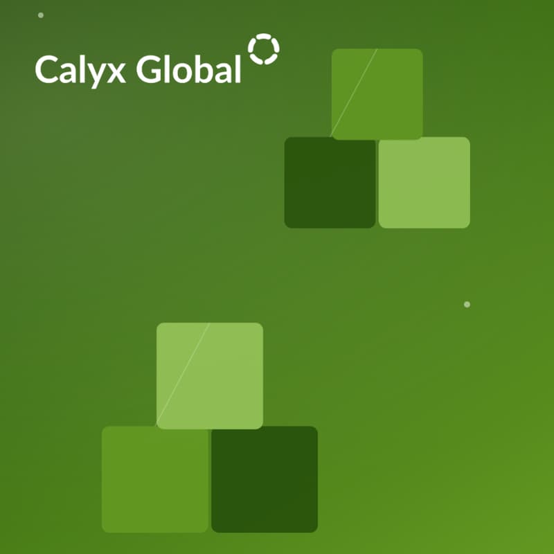 Cover Image for A Seat at the Table: Building Stronger Carbon Projects