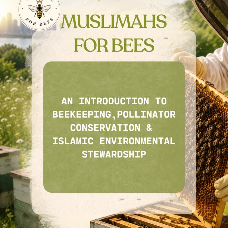 Cover Image for MUSLIMAHS FOR BEES-An Introduction to Beekeeping, Pollinator Conservation, and Islamic Environmental Stewardship