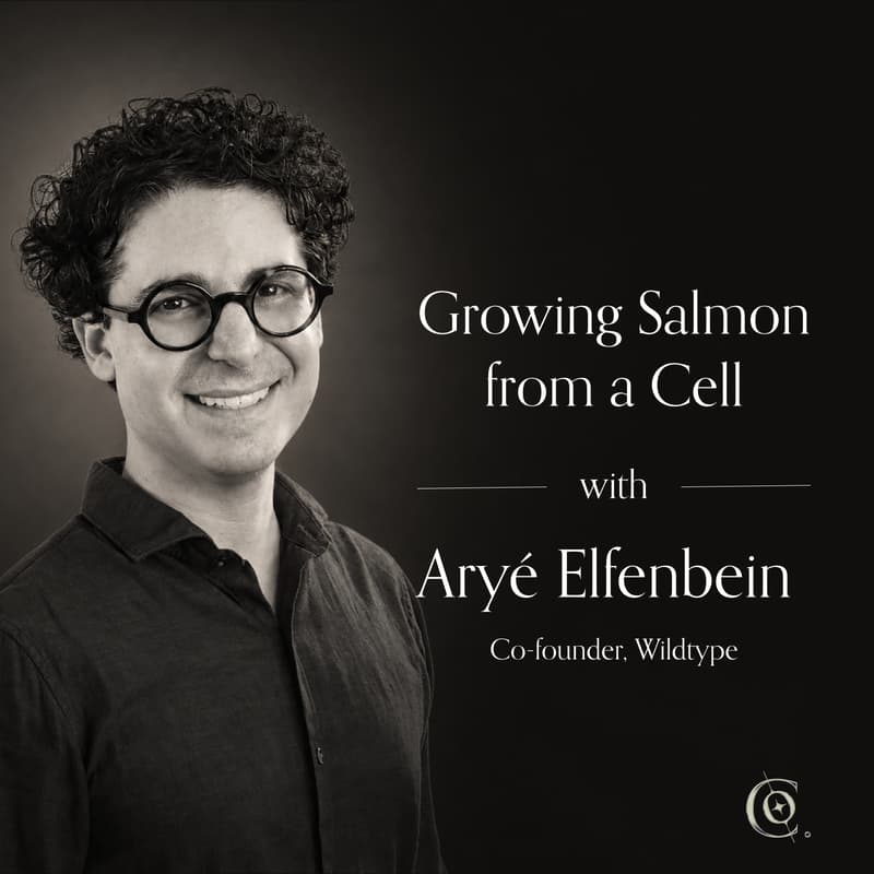 Cover Image for Growing Salmon from a Cell with Aryé Elfenbein