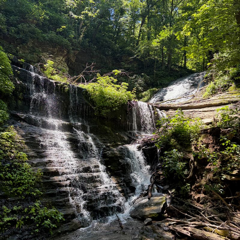 Cover Image for Jackson Falls and Kindred Farm