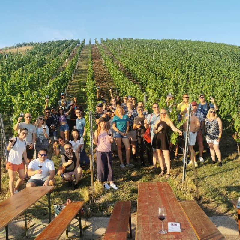 Cover Image for Stuttgart Wine Walk 2027