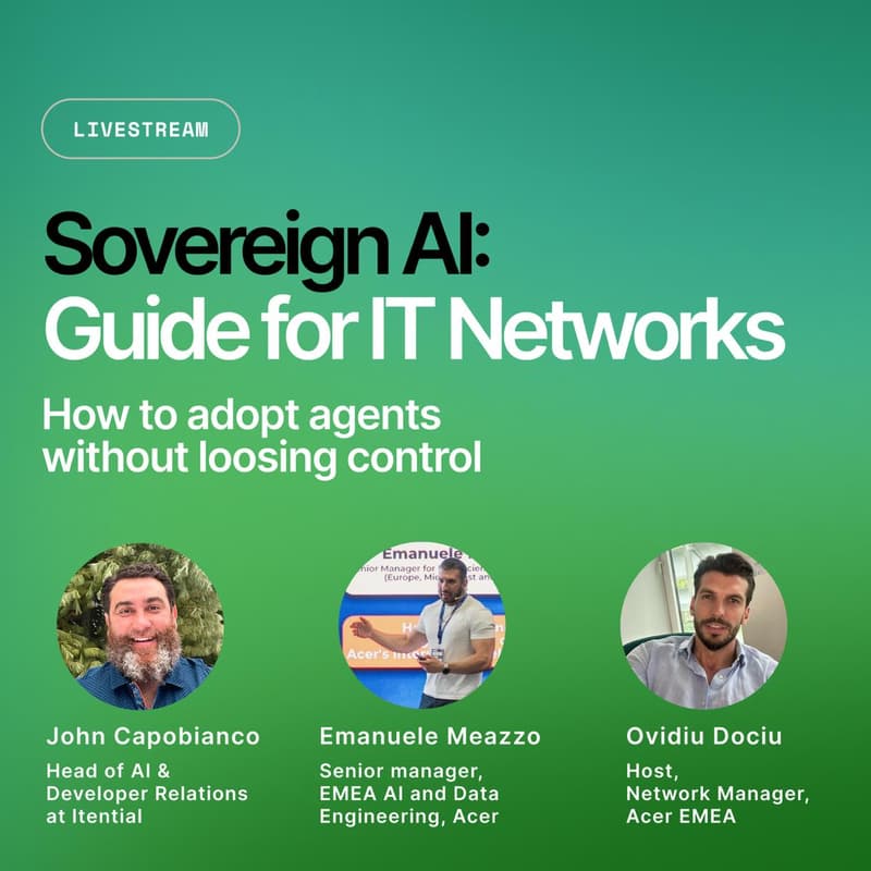 Cover Image for Sovereign AI: Guide for IT Networks