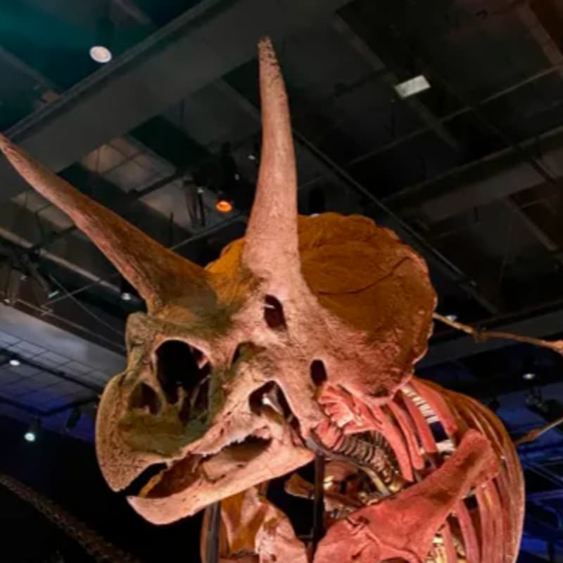 Cover Image for Founders Field Trip: A Day at the Museum