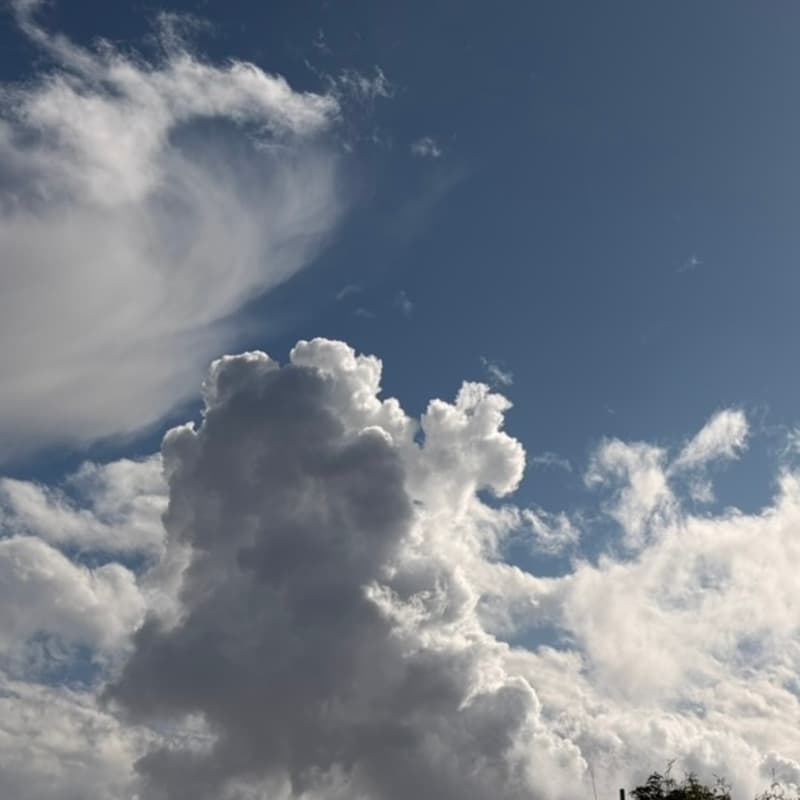 Cover Image for WEATHER/WILDERNESS Writing Workshop