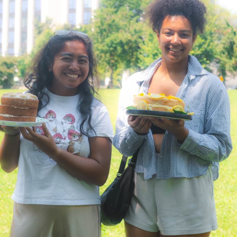 Cover Image for cake picnic